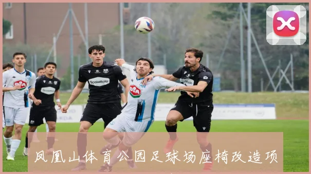凤凰山体育公园足球场座椅改造项目招标启动提升观赛体验